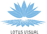 Lotus Visual 