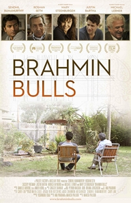 Brahmin-Bulls