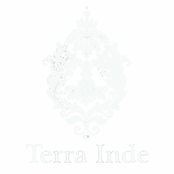 Terra-Inde-Logo