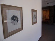 Erasing_borders2009