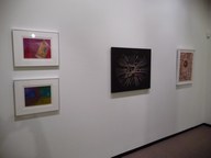 Erasing_borders2009