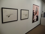 Erasing_borders2009