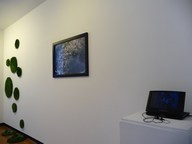 Erasing_borders2009