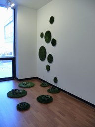 Erasing_borders2009