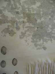 Erasing_borders2009