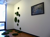 Erasing_borders2009