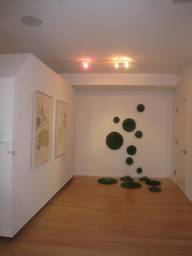 Erasing_borders2009