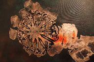 Erasing_borders2009