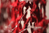 Erasing_borders2009