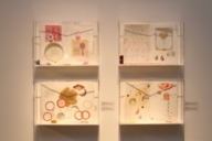 IAAC ERASING BORDERS 2011 EXHIBITION OF CONTEMPORARY INDIAN ART OF THE DIASPORA