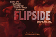 Flipside