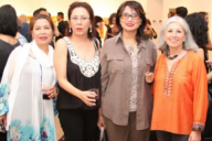 IAAC ERASING BORDERS 2011 EXHIBITION OF CONTEMPORARY INDIAN ART OF THE DIASPORA